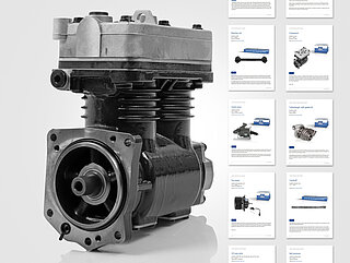 DT Spare Parts 6.86175 Kennzeichenleuchte - LKW Ersatzteile beim